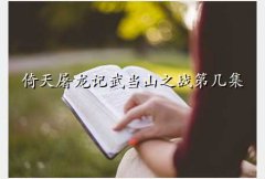  2009,䵱ɽ֮սڼ