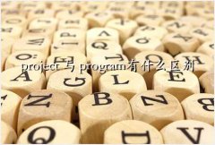 project s,project  programʲô