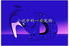 ,С˵еһЩ