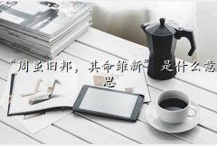 罫 Ϊ,ɰά¡ ʲô˼