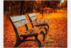 beicanshijie,硷