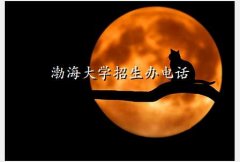 ѧ,ѧ绰