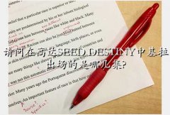 ߴ seed destiny,ڸߴSEED DESTINYлļ?