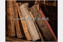 ,eccoЬʲô
