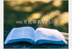 mic ,micŽɢ