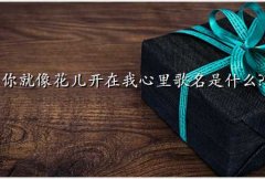 ,񻨶ʲô?