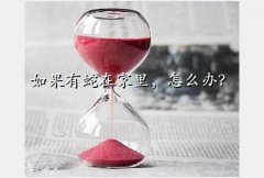 ߹,ڼô죿