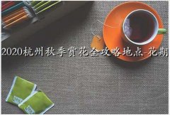 ຼ޹²
