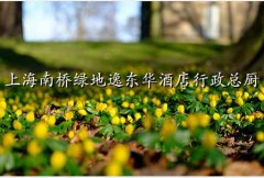 ̵ݶƵ