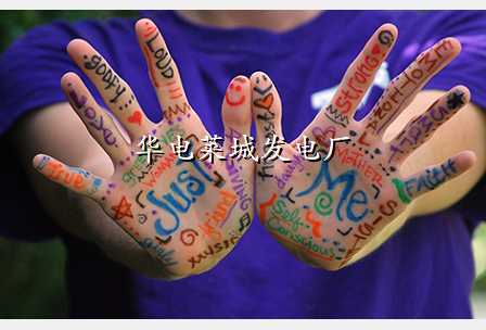 华电莱城发电厂