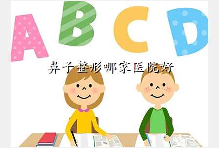 鼻子整形哪家医院好