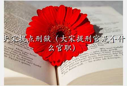 大宋提点刑狱(大宋提刑官是个什么官职)