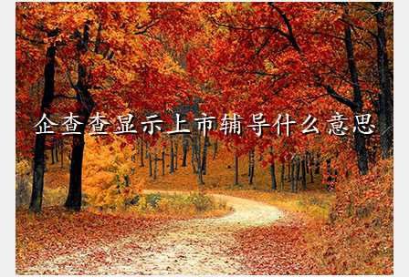 企查查显示上市辅导什么意思
