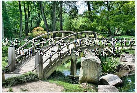 德语:《大学德语》哪套德语教材最通用?读者学习者人数最大?