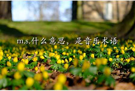 m.s.什么意思,是音乐术语