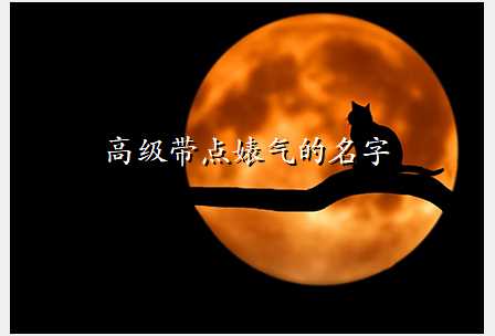 高级带点婊气的名字