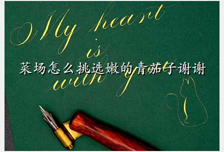 菜场怎么挑选嫩的青茄子谢谢