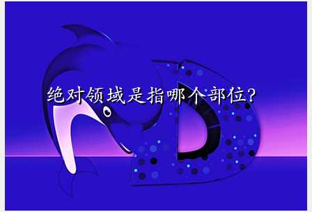 绝对领域是指哪个部位?