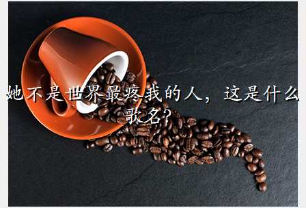 她不是世界最疼我的人,这是什么歌名?