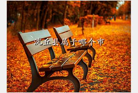沈丘县属于哪个市
