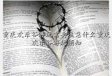 重庆欢乐谷游玩需要注意什么重庆欢乐谷游玩须知