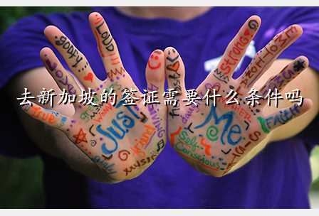 去新加坡的签证需要什么条件吗