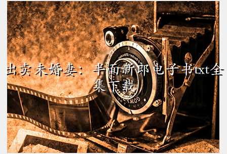 出卖未婚妻:半面新郎电子书txt全集下载