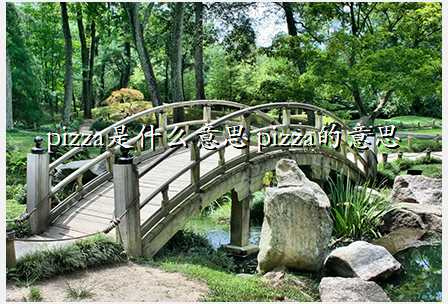 pizza是什么意思 pizza的意思