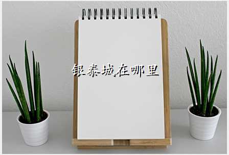 银泰城在哪里
