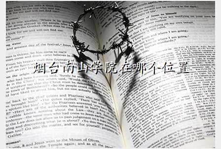烟台南山学院在哪个位置