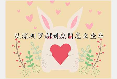 从深圳罗湖到虎门怎么坐车