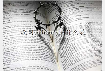 歌词without you什么歌