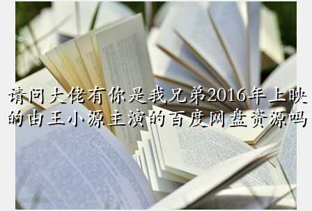 请问大佬有你是我兄弟2016年上映的由王小源主演的百度网盘资源吗