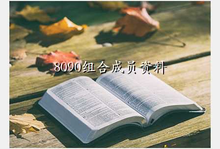 8090组合成员资料