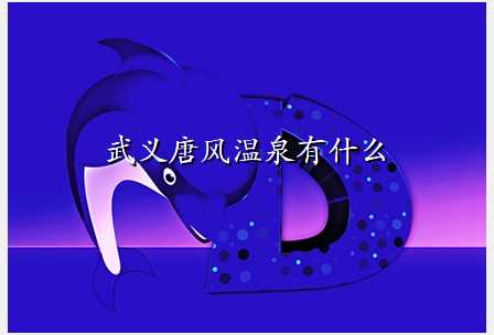 武义唐风温泉有什么