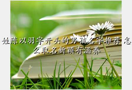 姓陈以羽字开头的男孩名字推荐 怎么取名新颖有涵养