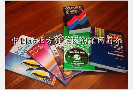 中国诺亚方舟集团的集团简介
