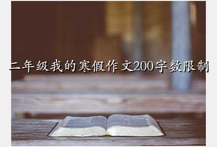 二年级我的寒假作文200字数限制