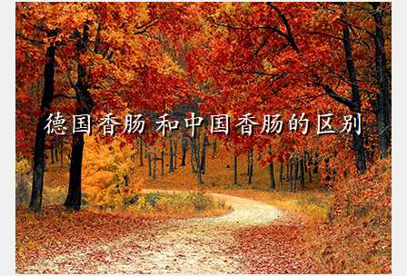德国香肠 和中国香肠的区别