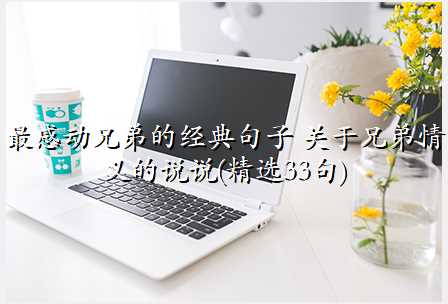 最感动兄弟的经典句子 关于兄弟情义的说说(精选33句)
