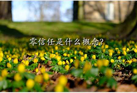 零信任是什么概念?