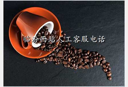 临汾西站人工客服电话
