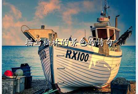 描写松林的景色的诗句