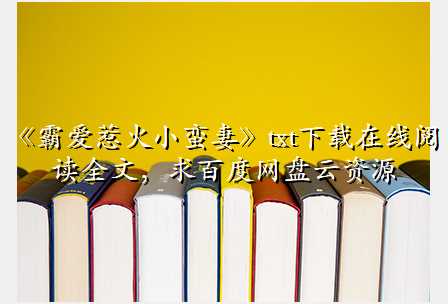 《霸爱惹火小蛮妻》txt下载在线阅读全文,求百度网盘云资源