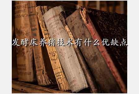 发酵床养猪技术有什么优缺点