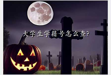 大学生学籍号怎么查?