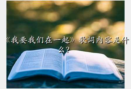 《我要我们在一起》歌词内容是什么?