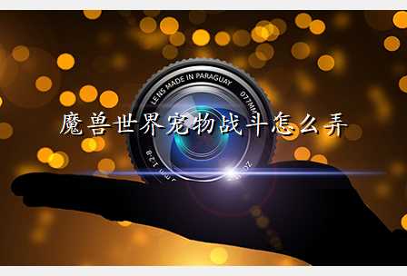 魔兽世界宠物战斗怎么弄