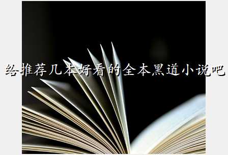 给推荐几本好看的全本黑道小说吧