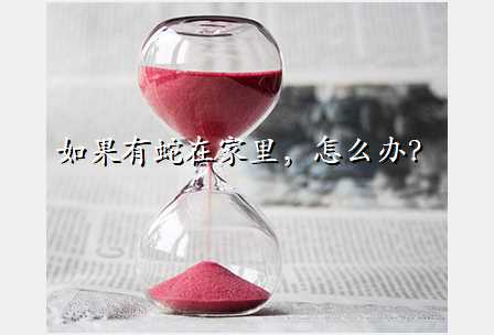如果有蛇在家里,怎么办?